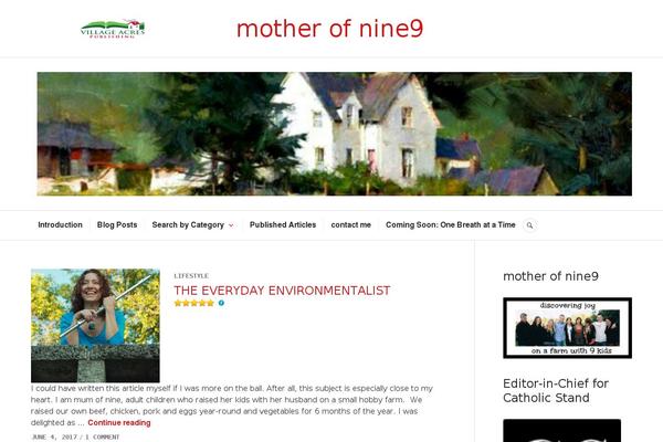 Site using VideoPress plugin