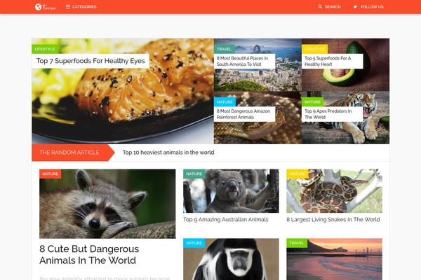 Codilight theme site design template sample