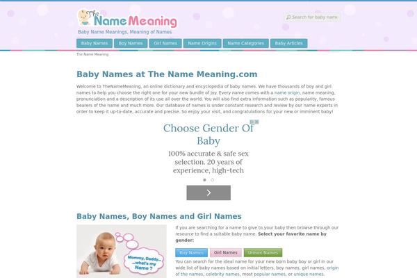 Basic theme site design template sample