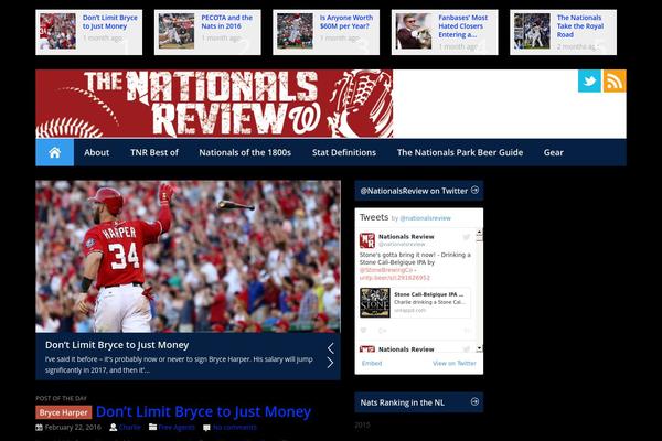 Newsberg theme site design template sample