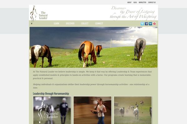 Site using Feature A Page Widget plugin