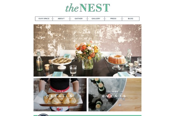 thenest theme websites examples