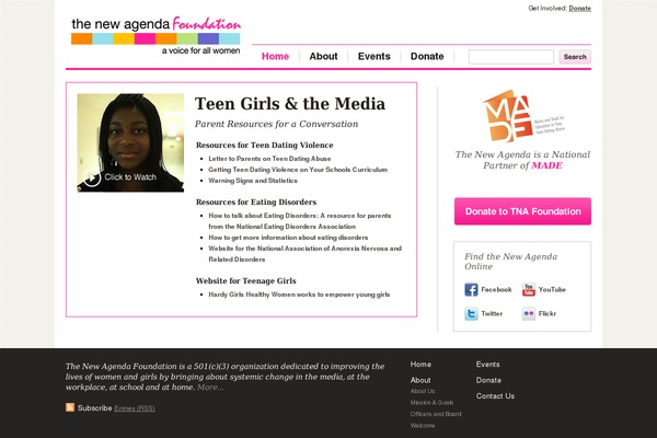 tna_2015 theme websites examples