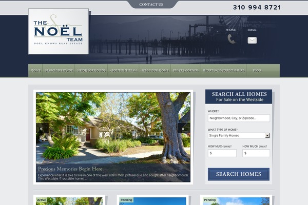 Aios-starter-theme theme site design template sample