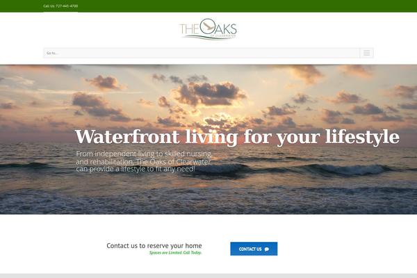 Divi Child theme site design template sample