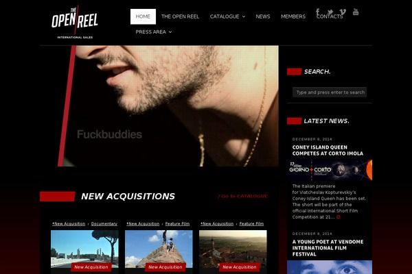 Ace theme site design template sample