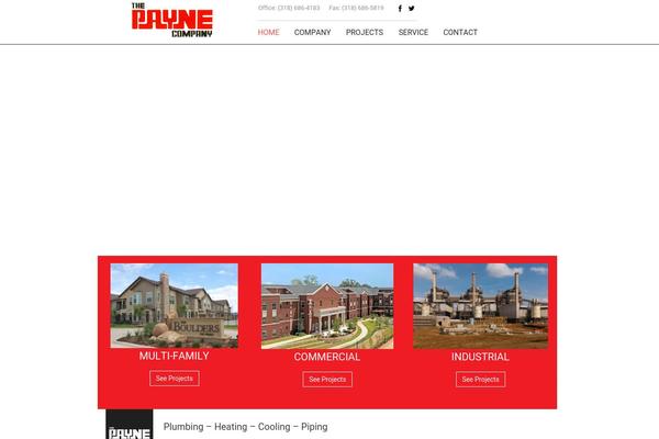 Site using WP Social Icons plugin