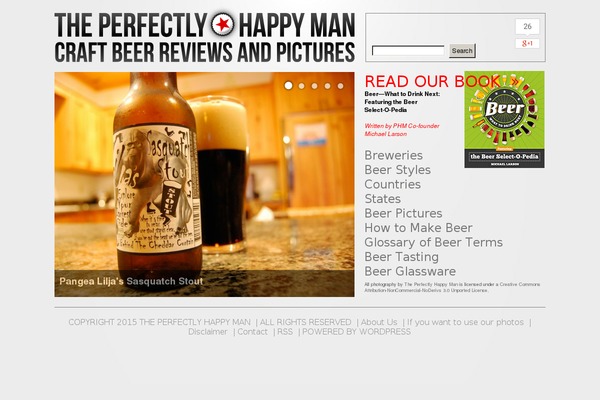 Newsever theme site design template sample