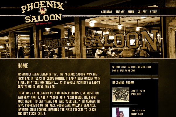Phoenix theme site design template sample