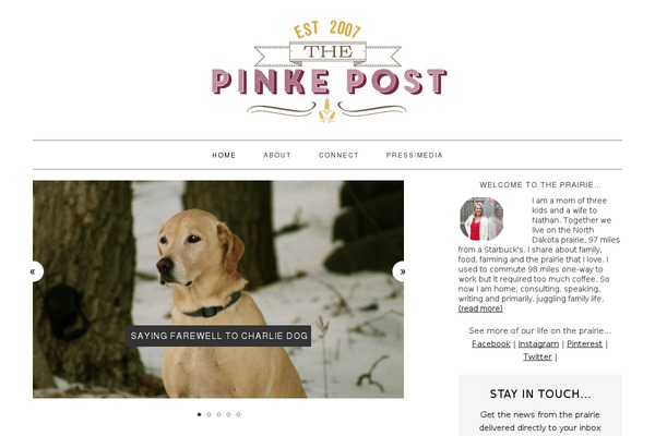 Restored316-captivating theme site design template sample