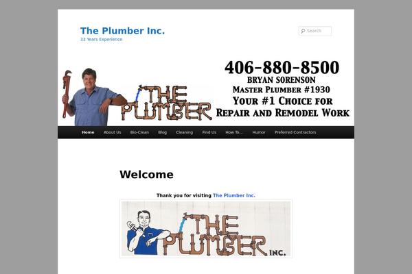 Site using WP Canvas - Responsive Videos plugin
