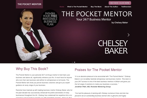 chelsey theme websites examples