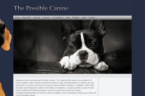 Site using Woothemes-sensei plugin