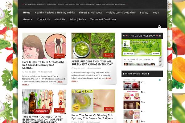 thepowerofhealthyfood.com site used Magimo