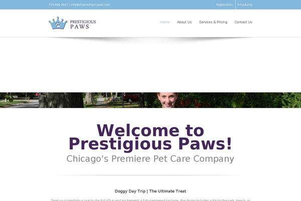 Divi theme site design template sample