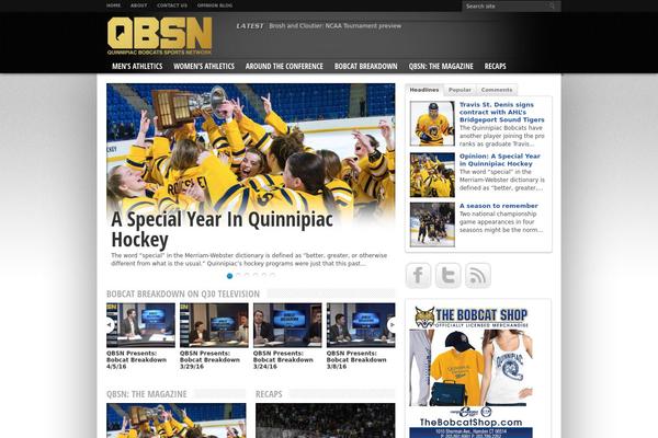 Sno Flex theme site design template sample