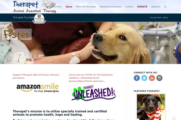 Site using Destaca-masonry-gallery plugin