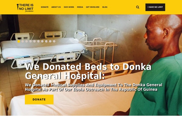 thereisnolimitfoundation.org site used Tnl