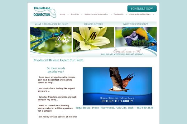 Site using Wpcf7-redirect plugin