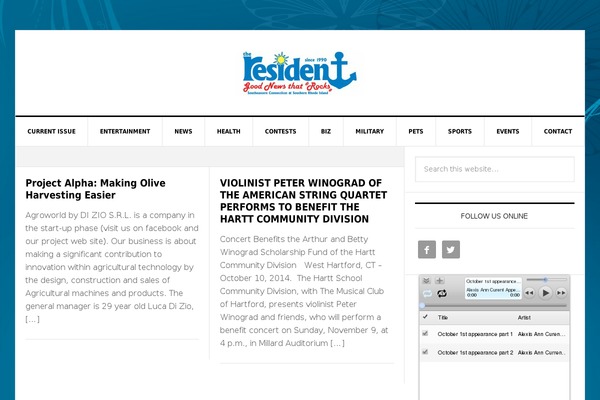 News Pro theme site design template sample