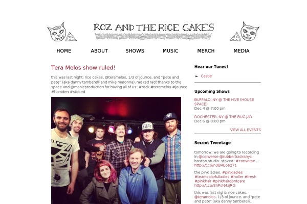 thericecakes.com site used Aino