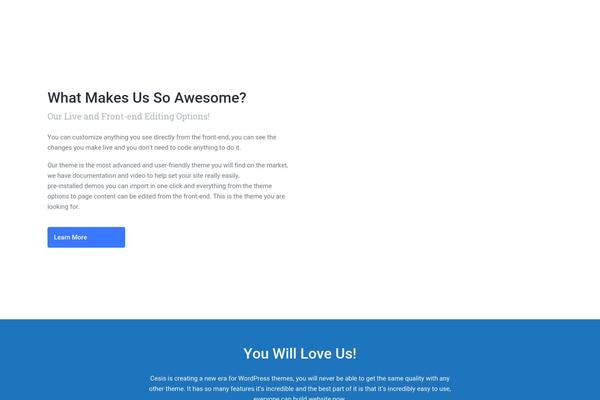 Cesis theme site design template sample