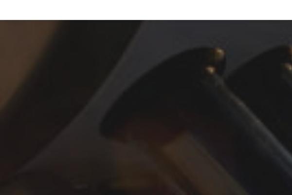 Site using Modina-core plugin