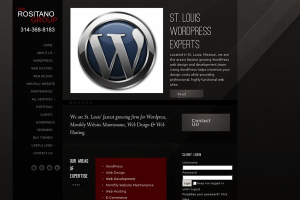 Fayce theme websites examples