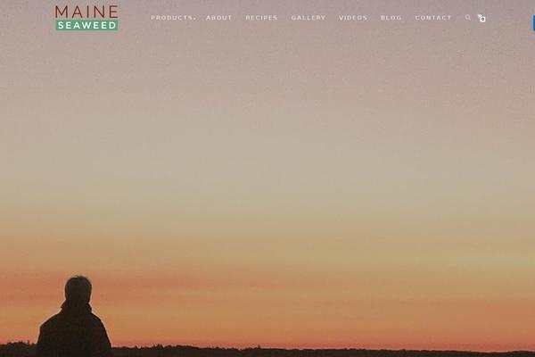 Shop-isle theme site design template sample