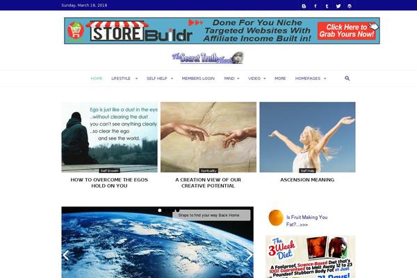NewsCard theme site design template sample