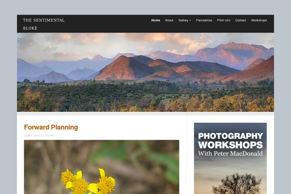 meeta-child theme websites examples
