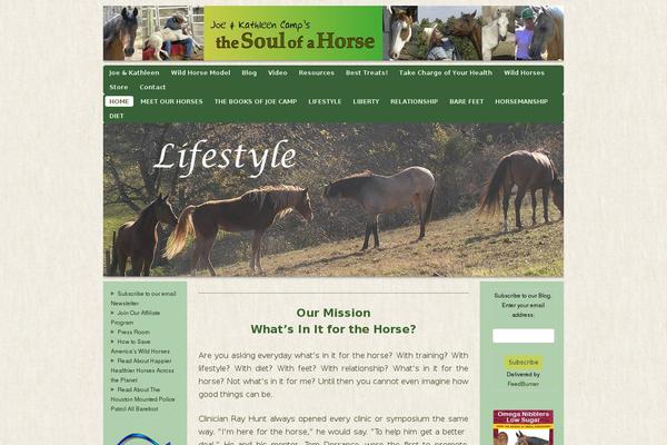 thesoulofahorse.com site used Builderchild-foundation-bonsai