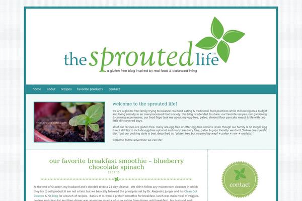 Site using Convertkit plugin