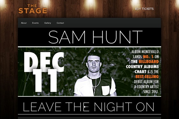 Tsm-theme-1 theme site design template sample