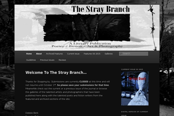 Chicago theme site design template sample