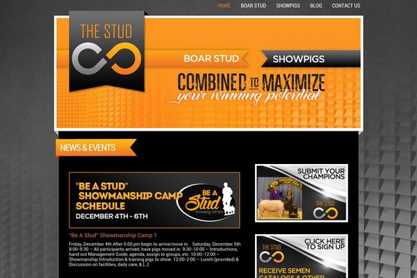 Fildisi-child theme site design template sample