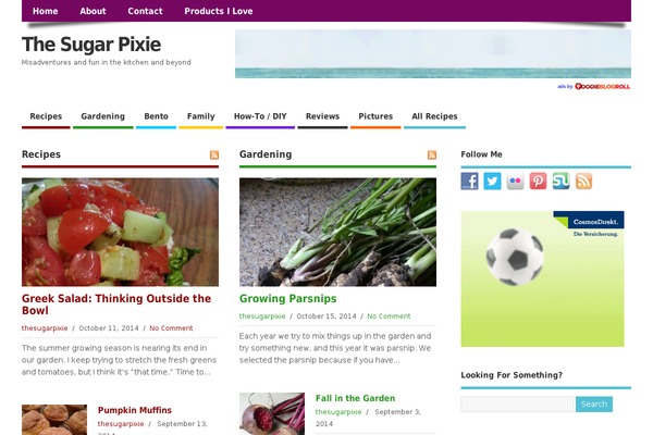 Site using Social Media Widget plugin