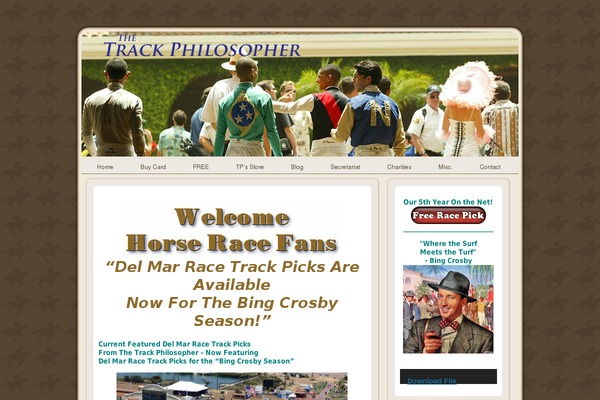 Custom theme site design template sample