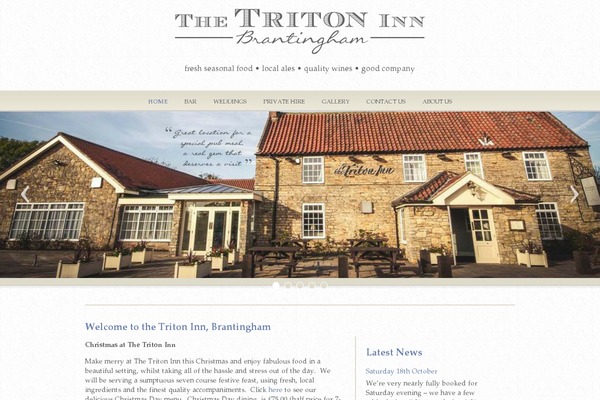 Pro-child theme site design template sample