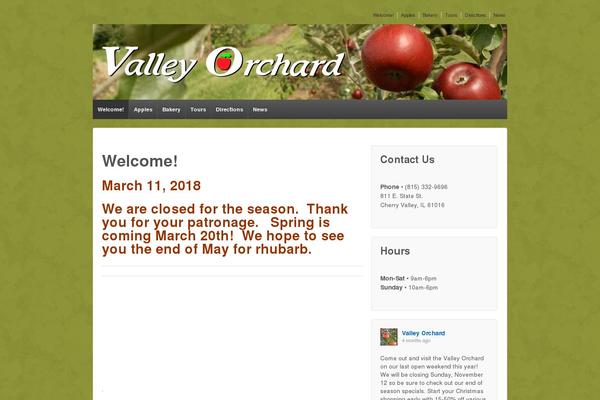 Avada theme site design template sample