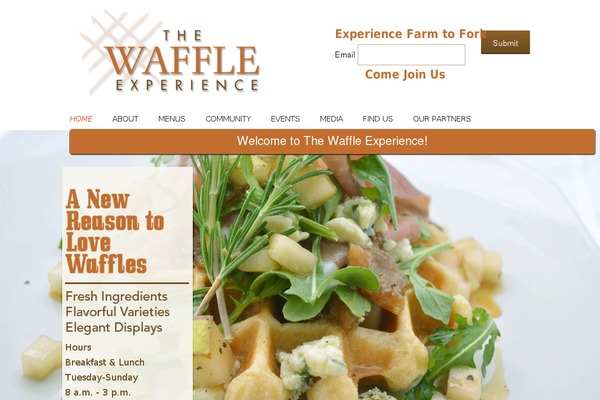 twentythirteen-child-01 theme websites examples