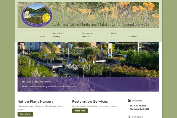 Site using Kadence-pro plugin