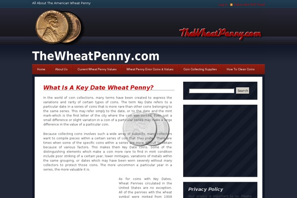 Piggie Bank theme site design template sample