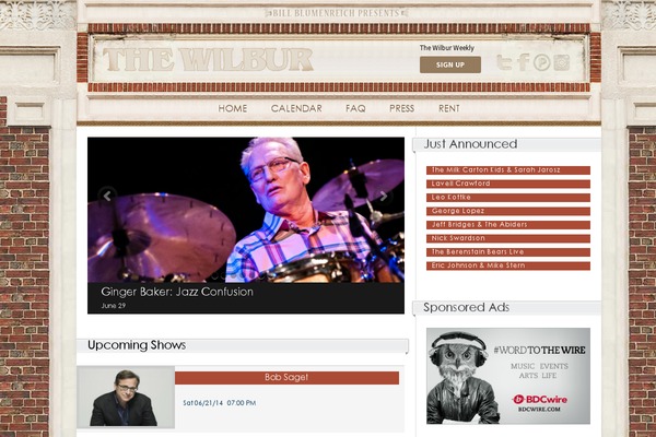 Radio Station theme websites examples