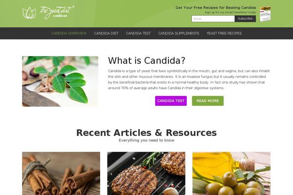 Eco Recycling theme site design template sample
