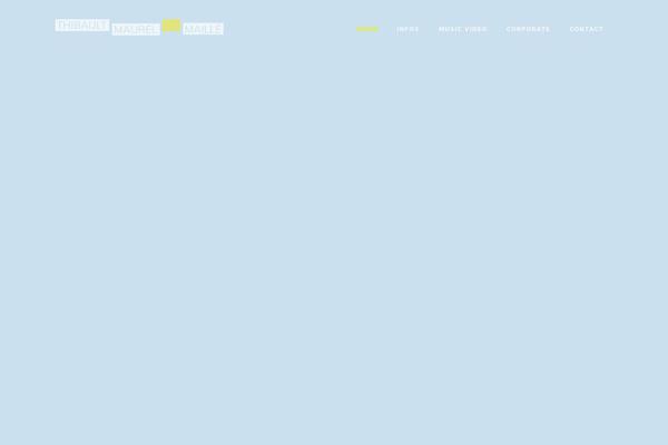 Site using WP Social Widget plugin