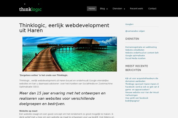 Altitude Pro theme site design template sample