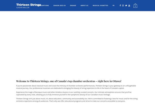 Site using WooCommerce Multilingual - run WooCommerce with WPML plugin
