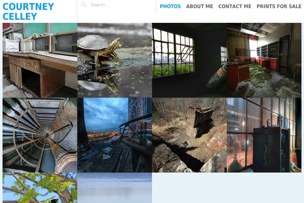 Pictorico theme site design template sample