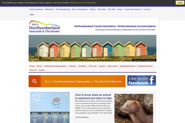 Customify theme site design template sample